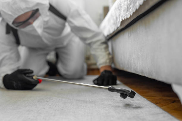 Professional Termite Control technician working in Boardman, OR